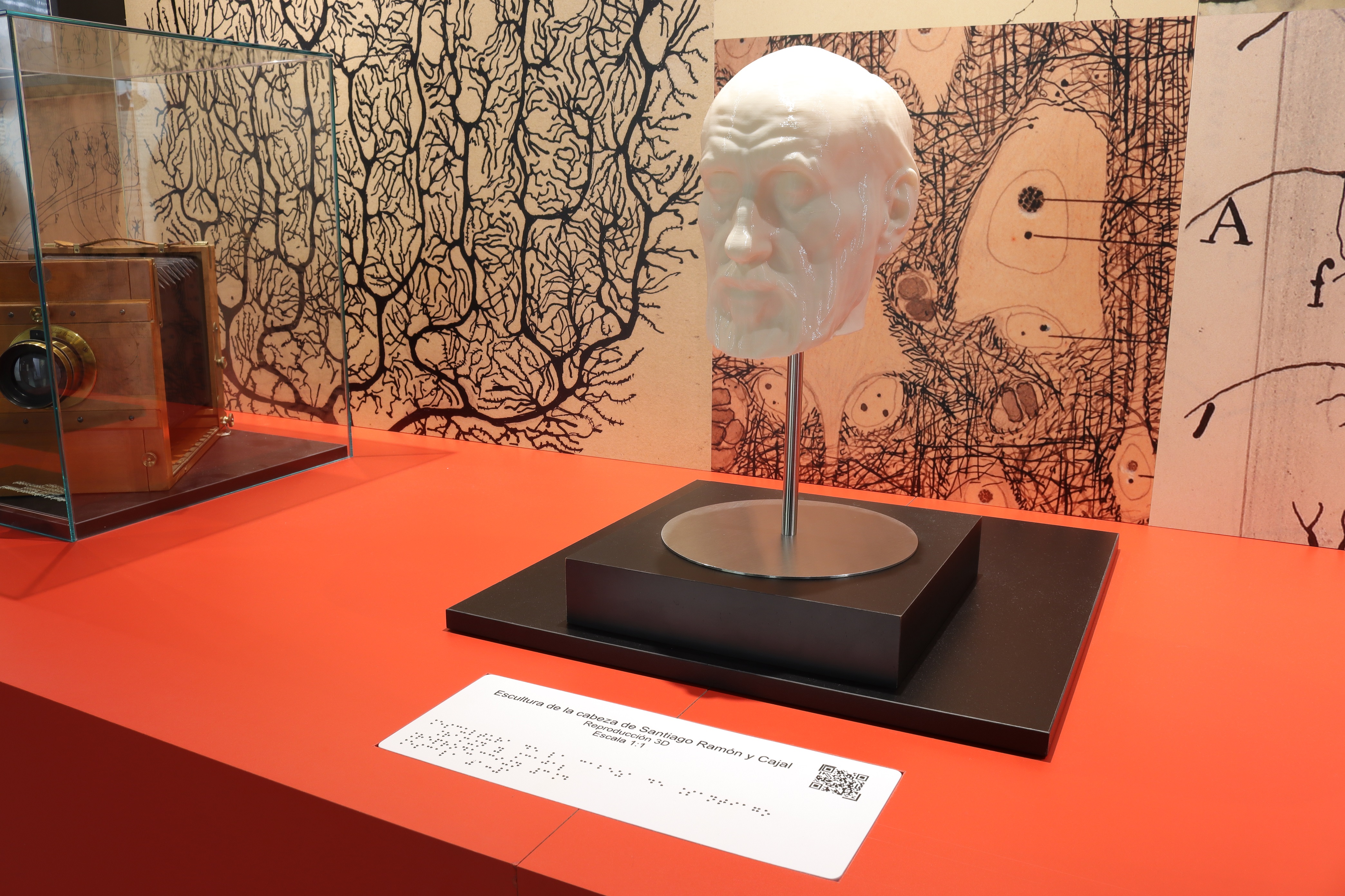 Imagen de Cajal