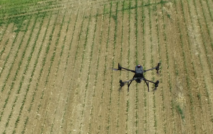 Dron en un campo de cultivo