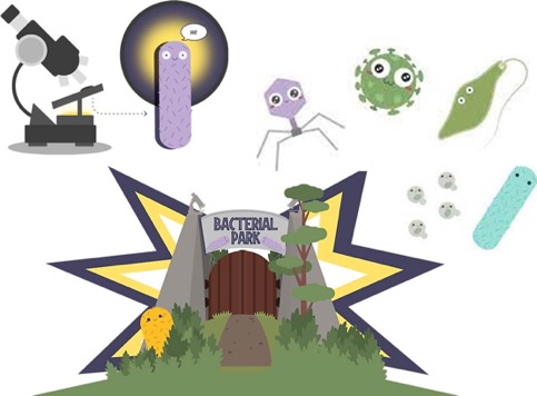 microorganismos bacterial park