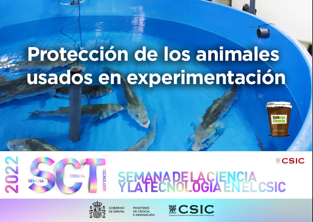 Ptotección de los animales usados en experimentación