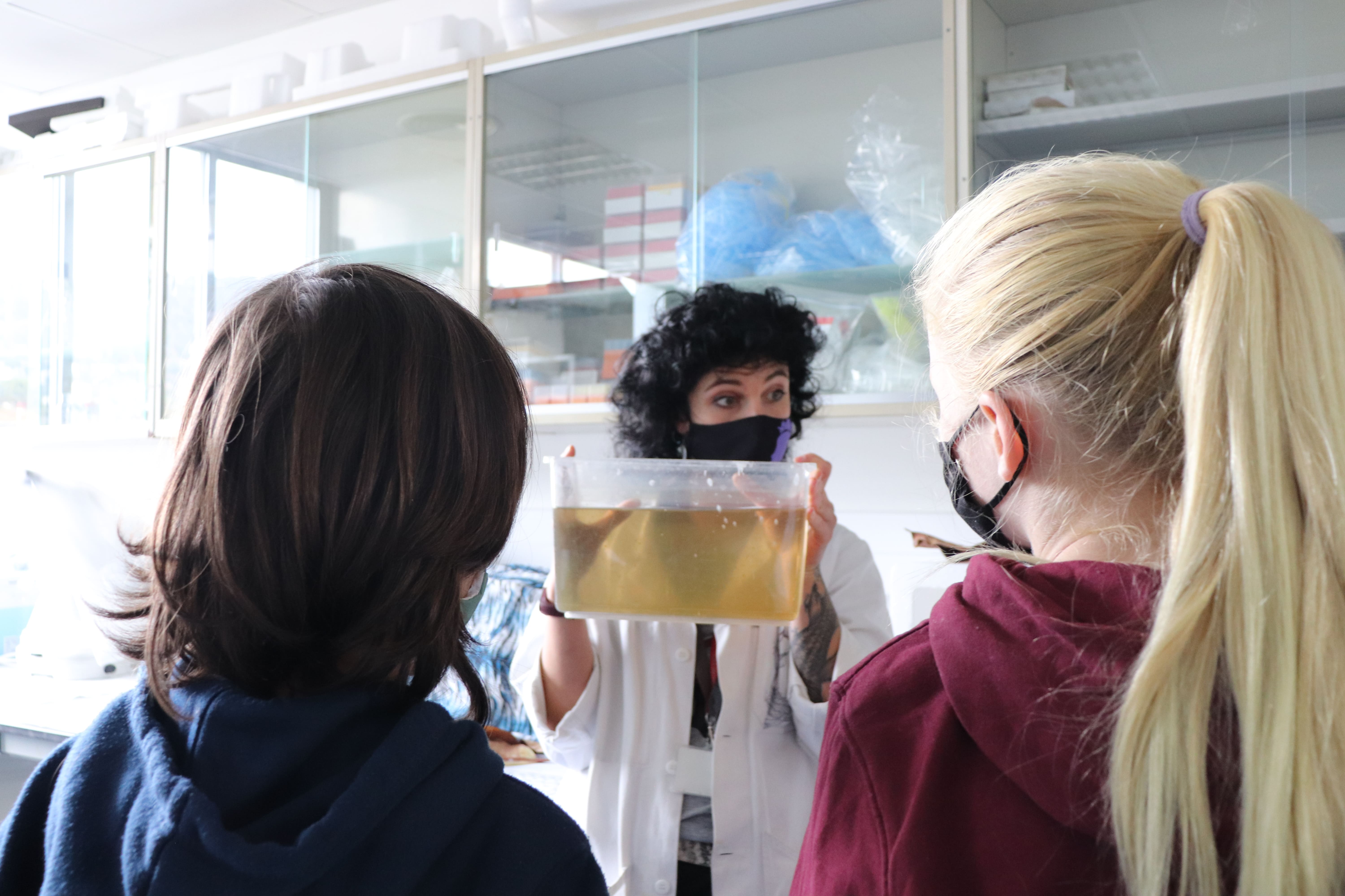 Investigadora mostrando los crustáceos que se utilizan en los estudios sobre toxicología
