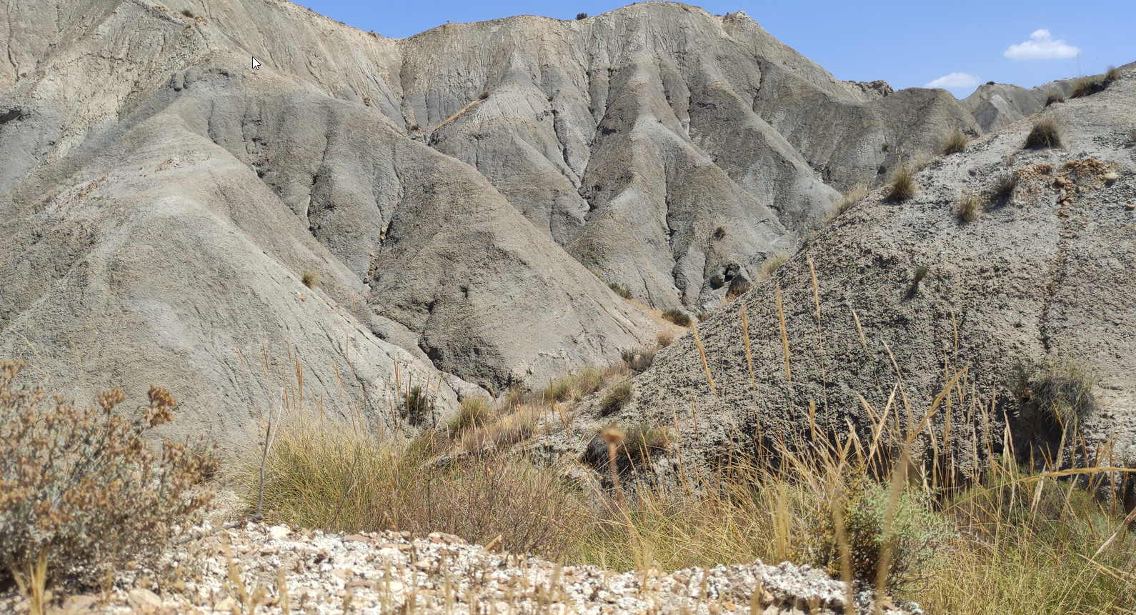 Las biocostras y el malpaís de Tabernas, Almería