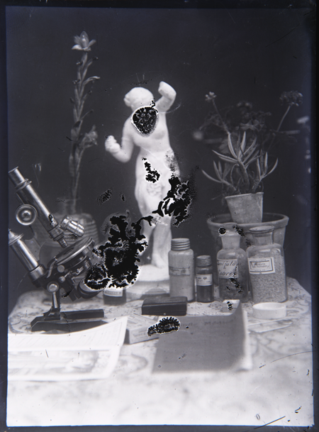 Santiago Ramón y Cajal, Placa fotográfica de un bodegón con microscopio y frascos de laboratorio. Fondo Fotográfico del Legado Cajal, no. 619-002. Instituto Cajal, CSIC. 