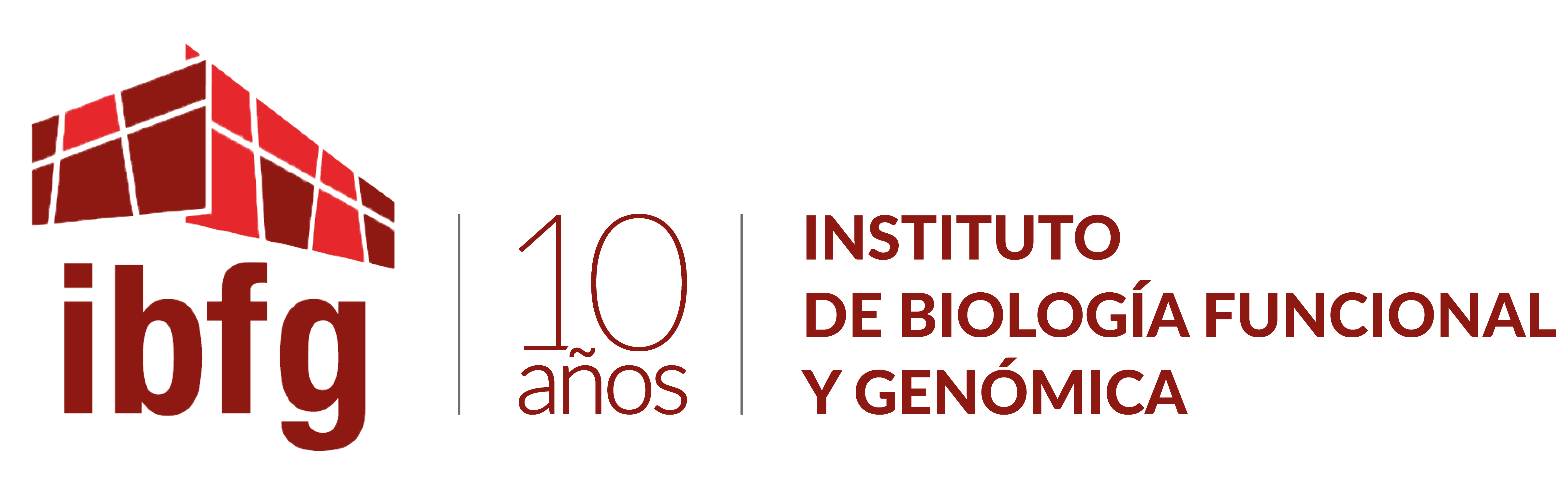 logo IBFG décimo aniversario