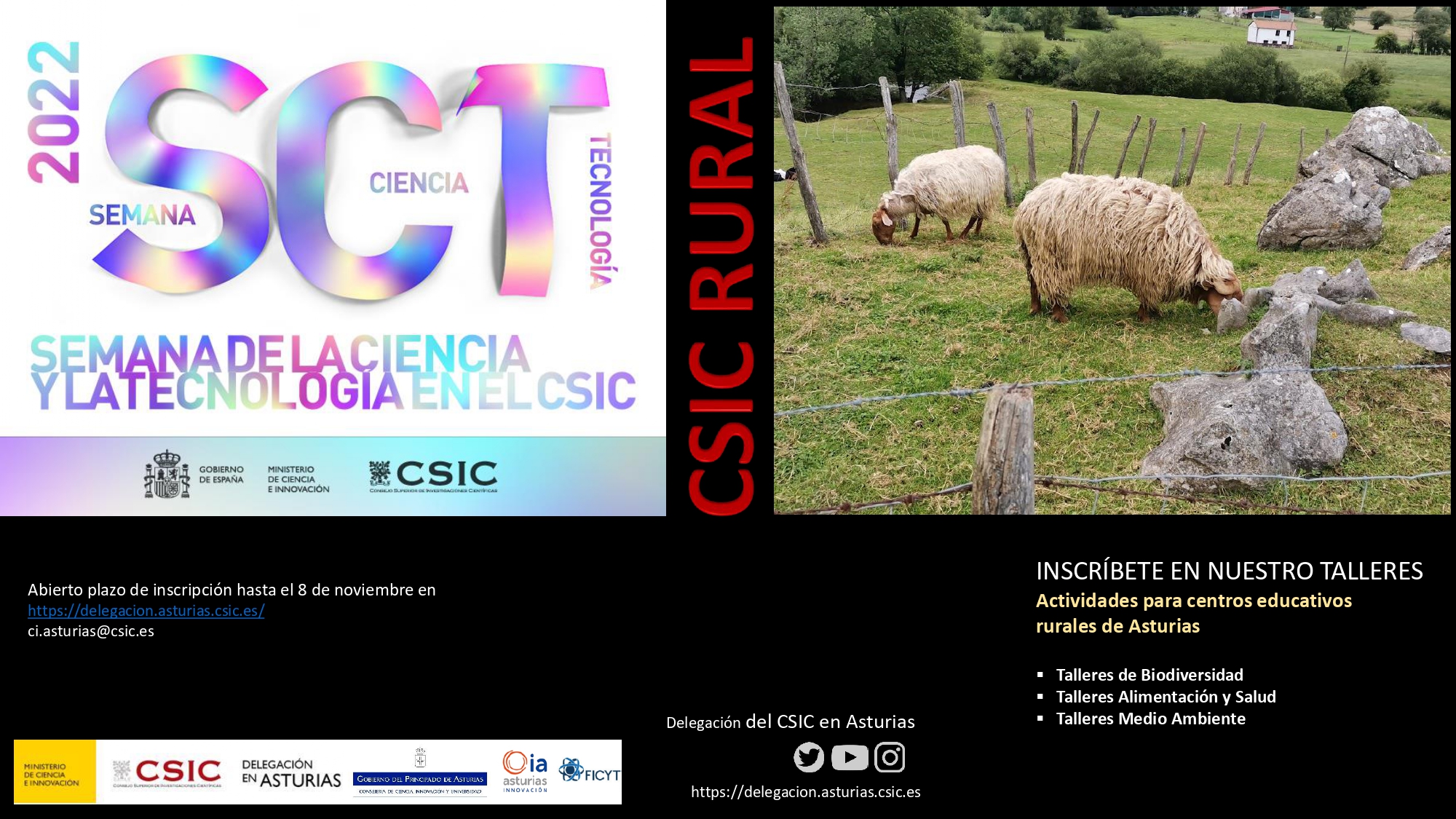 Entorno rural con animales