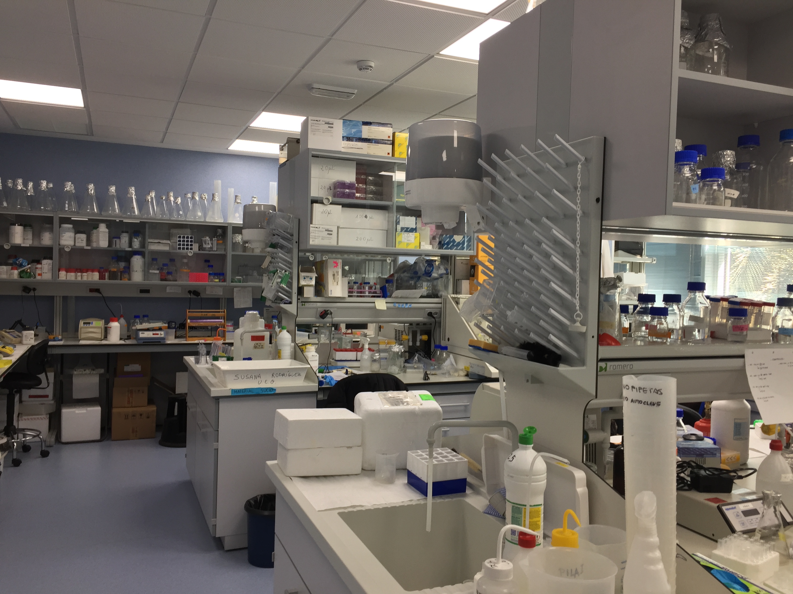 Laboratorio del IBV, CSIC
