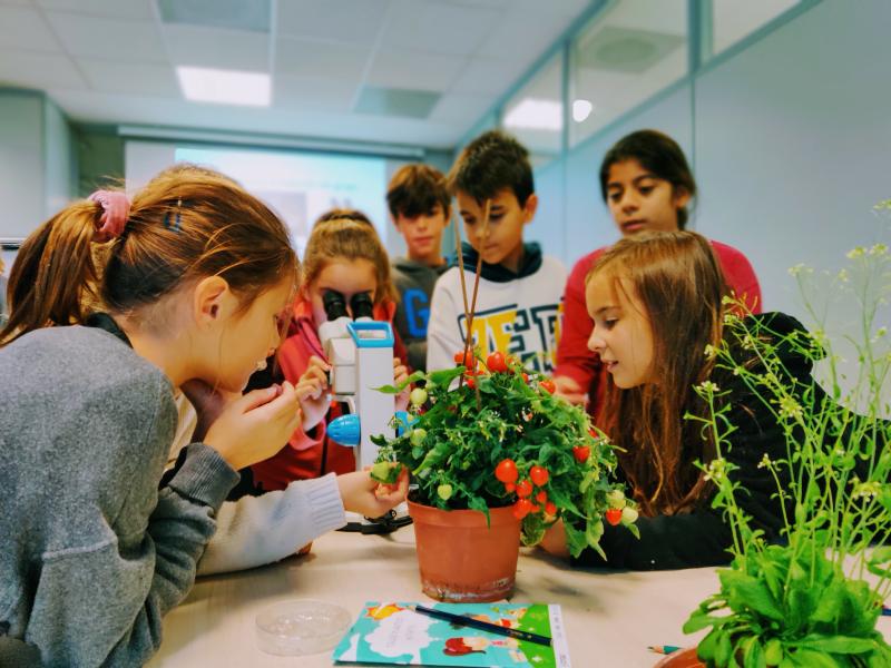 Taller experimental Plantes Mutants