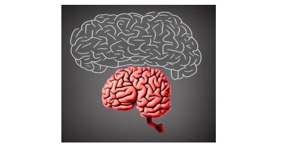 Neurociencia y pensamiento crítico. Mitos y realidades