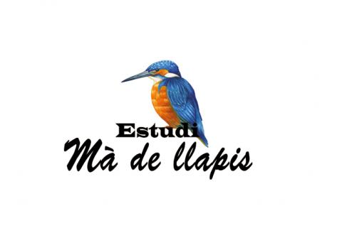 ma de llapis